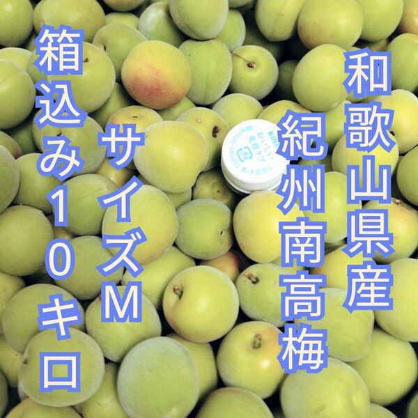 和歌山県産 紀州南高梅 サイズM 箱込み10キロ 少し色付き