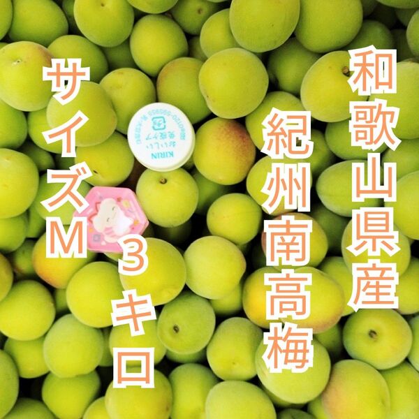 小さめ 青梅 和歌山県産 紀州南高梅 サイズM 色付き 3キロ