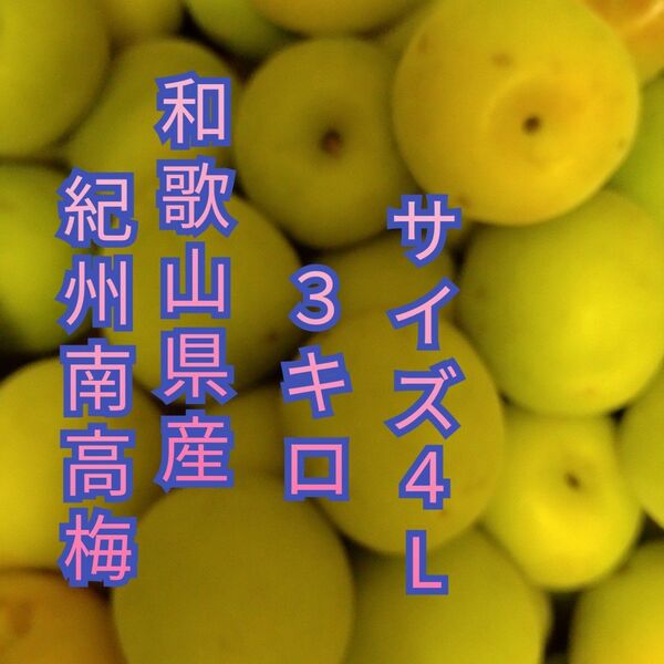 4Lサイズ 和歌山県産 紀州南高梅 少し色付き 3キロ 青梅