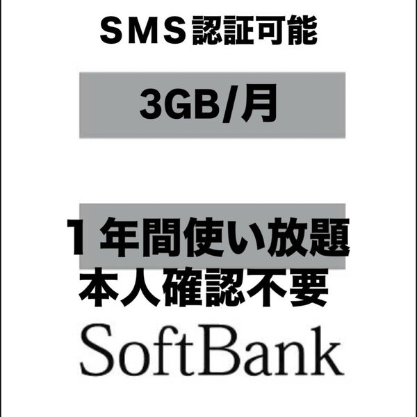 SIMカード 月3GB1年間SoftBank回線 1枚
