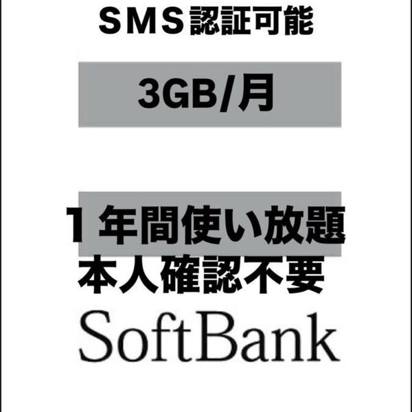 SIMカード 月3GB1年間SoftBank回線 1枚
