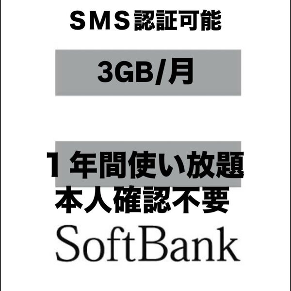 SIMカード 月3GB1年間SoftBank回線 2枚