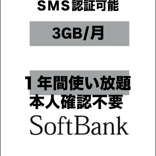 SIMカード 月3GB1年間SoftBank回線 2枚