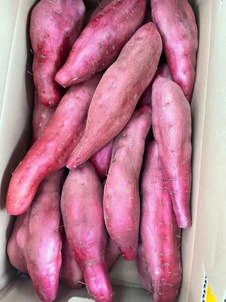 日本一美味しい、最高級鳴門金時、M Lサイズ、5kg