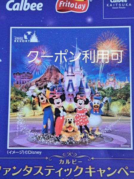 懸賞応募 カルビー ディズニー ファンタスティックキャンペーン応募券170点 ハガキ貼付済 おまけ応募ハガキ3枚同封