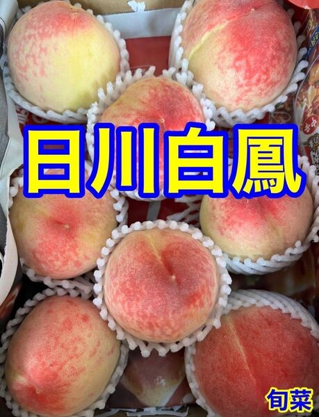桃 日川白鳳 タイムセール 約1.2〜1.4キロ 5〜8玉 ご家庭用