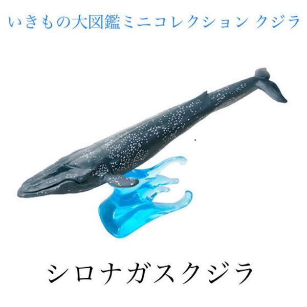 【シロナガスクジラ】 いきもの大図鑑ミニコレクション クジラ 未開封 ガシャポン フィギュア バンダイ 生物 サメ アドバンス