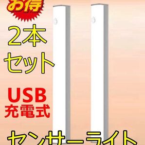 2点セット センサーライト LED 人感 室内 USB充電 人感 マグネット