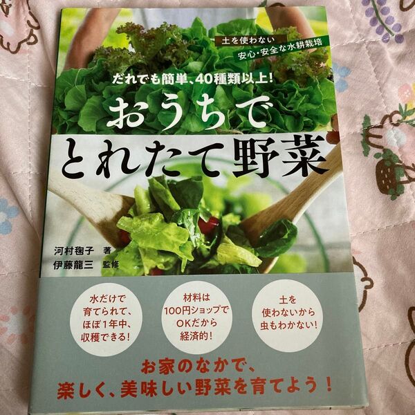 おうちでとれたて野菜 水耕栽培 家庭菜園
