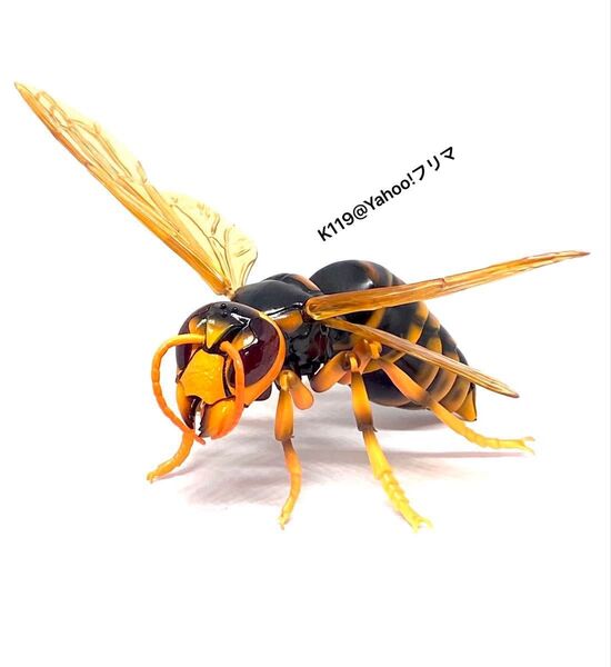 いきもの大図鑑アドバンス スズメバチ キイロスズメバチ 昆虫フィギュア 生き物大図鑑 バンダイ BANDAI