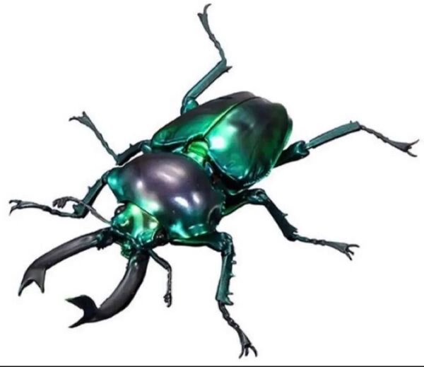 いきもの大図鑑アドバンス ニジイロクワガタ グリーンピカール 昆虫フィギュア 生き物大図鑑 ガチャ ガシャポン バンダイ