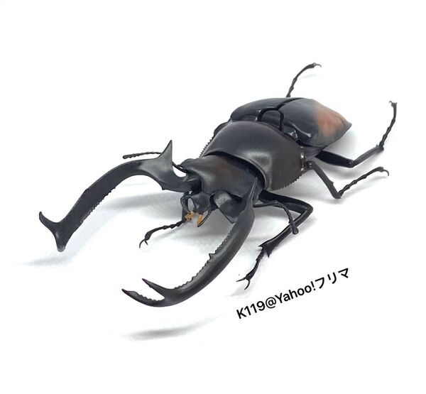 トレーディングフィギュア ディディエールシカクワガタ いきもの大図鑑 くわがた02 昆虫フィギュア 台座後ろ翅付き