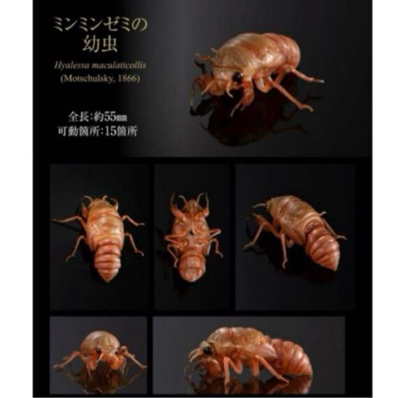 いきもの大図鑑アドバンス セミ01 ミンミンゼミの幼虫 フィギュア バンダイ ガチャ ガシャポン BANDAI