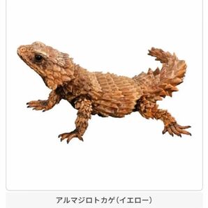 いきもの大図鑑アドバンス アルマジロトカゲ イエロー ガチャ ガシャポン バンダイ 生き物大図鑑 いきもの大図鑑
