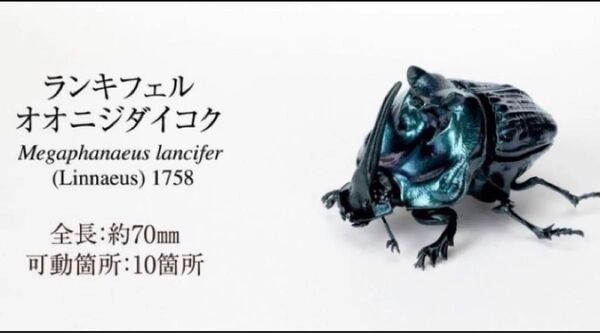 オンライン版未開封 いきもの大図鑑 かぶとむし07 昆虫フィギュア ランキフェルオオニジダイコク ガチャ 昆虫フィギュア
