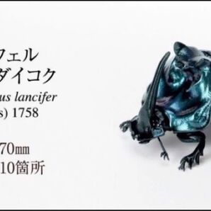 オンライン版未開封 いきもの大図鑑 かぶとむし07 昆虫フィギュア ランキフェルオオニジダイコク ガチャ 昆虫フィギュア