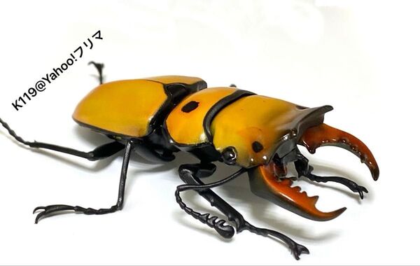いきもの大図鑑 生き物大図鑑 フィギュア くわがた05 メンガタクワガタ