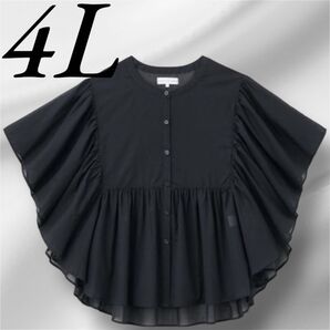 シーズンリーズン 袖フレア ブラウス 上品 綺麗め 可愛い フリル フリフリ ブラック 半袖