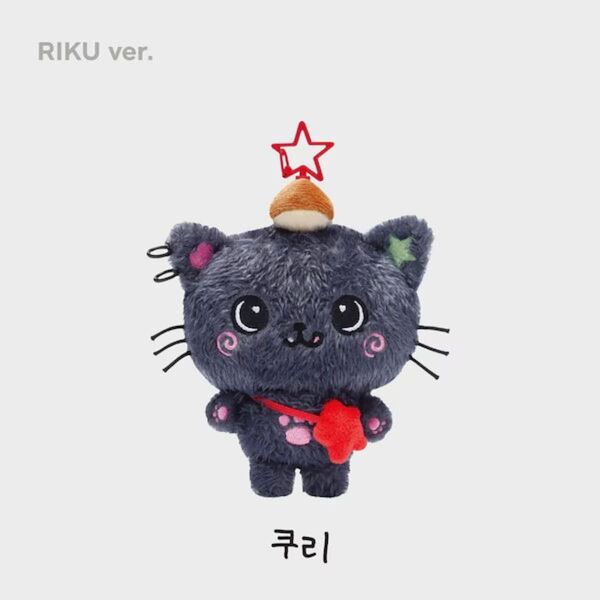 nct wish リク ぬいぐるみ キーリング 未開封 正規店購入