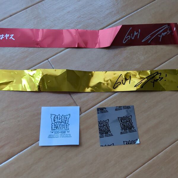 GLAY EXPO 30th ライブ 銀テープ 東京ドーム 銀テ+花吹雪 セットb