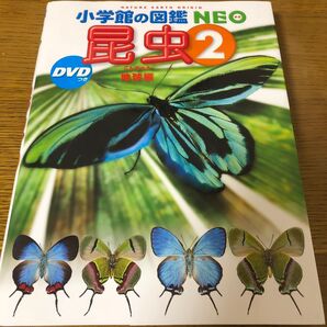 未開封DVD付き 昆虫2(小学館の図鑑NEO 24) 小池啓一/執筆・企画構成