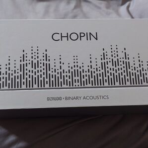 GIZAUDIO BINARY ACOUSTICS CHOPIN イヤホン