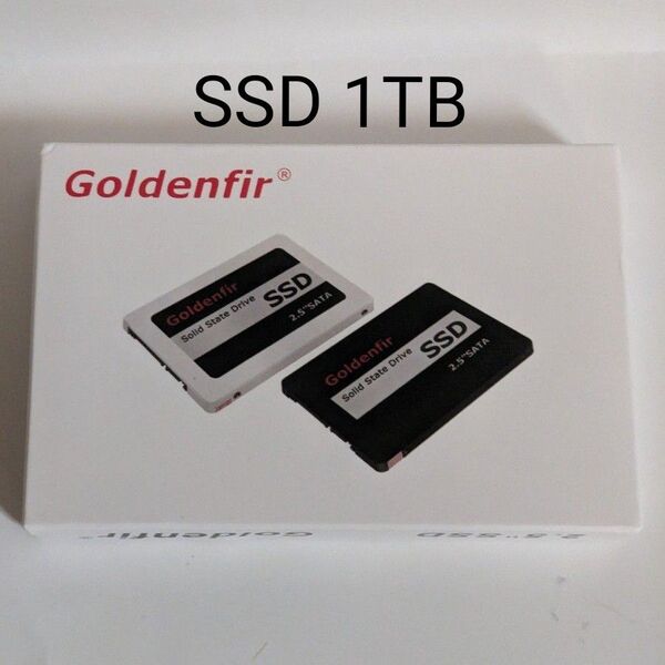 Goldenfir 内蔵型 SSD 1TB SATA