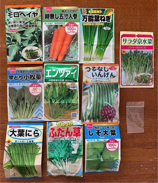 野菜の種 10種類セット にんじん入り