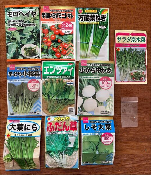 野菜の種 10種類セット ミニトマト入り