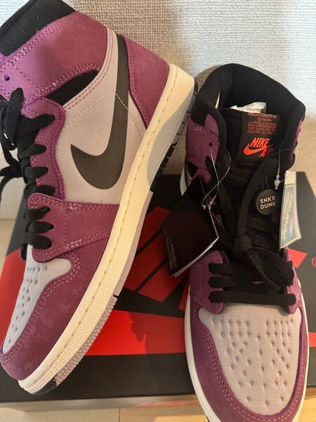 Nike Air Jordan 1 GORE-TEX ナイキ エアジョーダン1 エレメント ゴアテックス "ベリー" ゴアベリー