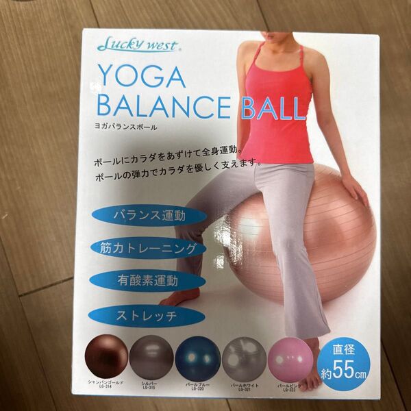 ラッキーウエスト ヨガバランスボール 55センチ