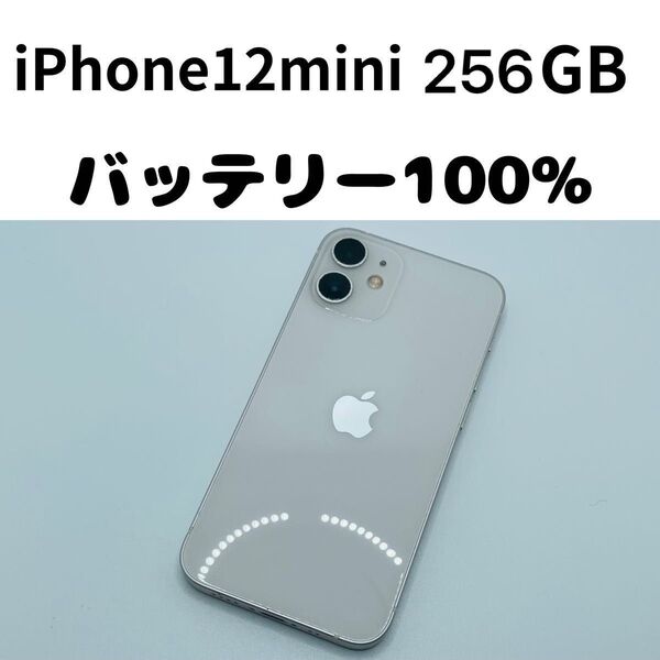【格安美品】iPhone 12mini 256GB simフリー本体 190