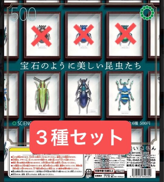 STC ドイツ箱 マグネットコレクション4 ヤマトタマムシ他 3種セット 未使用品 ①