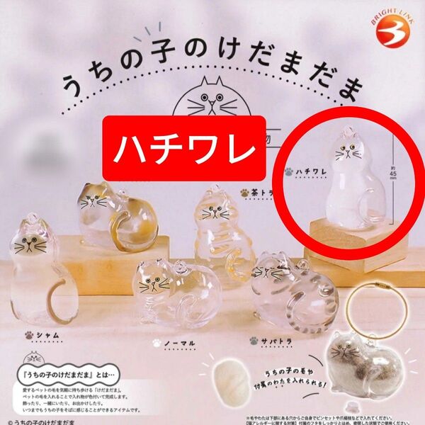 うちの子のけだまだま ハチワレ 猫 毛玉 ガチャ カプセルトイ キーホルダー