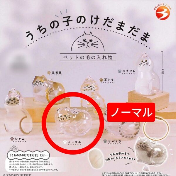 うちの子のけだまだま ノーマル 猫 ガチャ キーホルダー