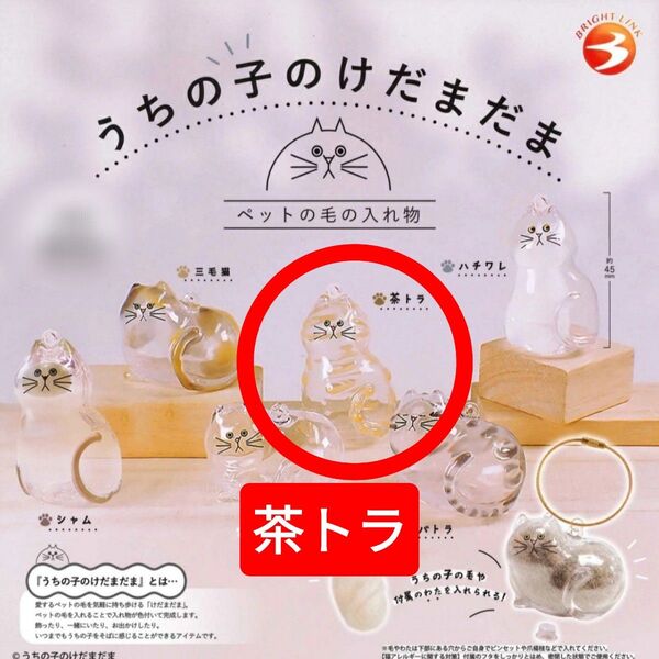うちの子のけだまだま 茶トラ ガチャ 猫 キーホルダー