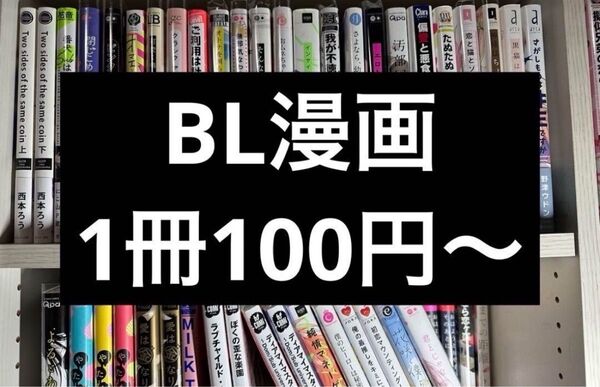 BL漫画 まとめ売り