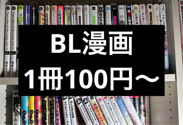 BL漫画 まとめ売り