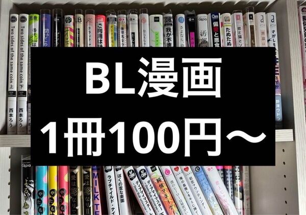 BL漫画 まとめ売り