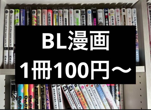 BL漫画 まとめ売り