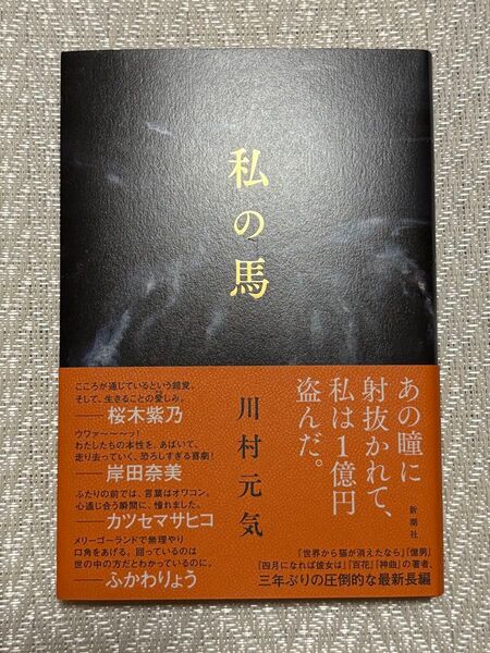 私の馬 川村元気/著