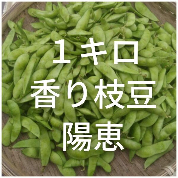 訳あり枝豆