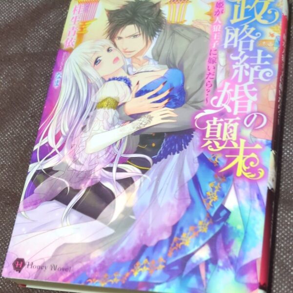 政略結婚の顛末 姫が人狼王子に嫁いだら? (Honey Novel カ2-2) 桂生青依/著