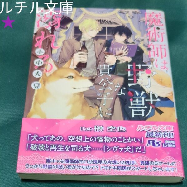 魔術師は野獣な貴公子に溺れる (幻冬舎ルチル文庫 こ2-13) 小中大豆/著 定価660円税込み価格本