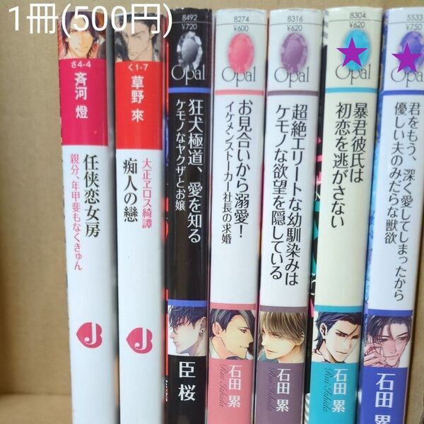 君をもう、深く愛してしまったから 優しい夫のみだらな獣欲 (オパール文庫) 石田累/著 定価825円税込み価格tl文庫