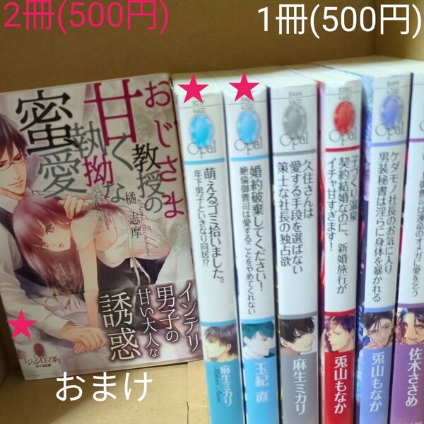 ケダモノ社長のお気に入り 男装秘書は淫らに身体を暴かれる (オパール文庫) 兎山もなか/著 定価770円税込み価格tl文庫