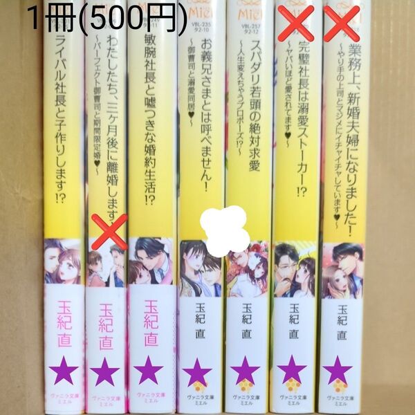 敏腕社長と嘘つきな婚約生活!? (ヴァニラ文庫ミエル タ2-11) 玉紀直/著 tl文庫
