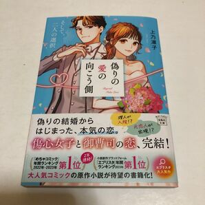 偽りの愛の向こう側 〔2〕 (宝島社文庫 Cう-17-2) 上乃凛子/著