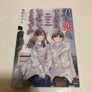 君に恋をするのは、いけないことですか (宝島社文庫 Cい-14-7) 筏田かつら/著