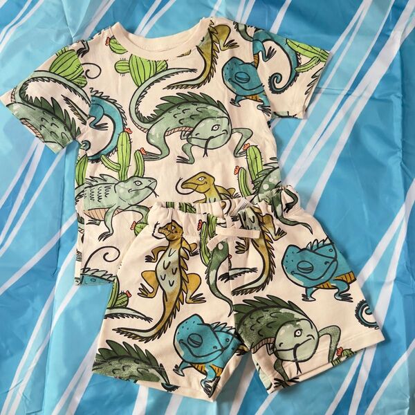 キッズ パンツセット H&M コットン 90 Tシャツ 上下セット 半袖